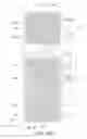 Fig. 44 - Pixel electrode panel, a liquid crystal display panel assembly and methods for manufacturing the same