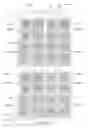 Fig. 75 - Pixel electrode panel, a liquid crystal display panel assembly and methods for manufacturing the same
