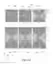 Fig. 20 - Pixel electrode panel, a liquid crystal display panel assembly and methods for manufacturing the same