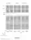 Fig. 72 - Pixel electrode panel, a liquid crystal display panel assembly and methods for manufacturing the same