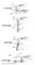 Fig. 08 - Eyeglasses