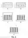 Fig. 07 - Light directionality sensor