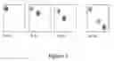 Fig. 03 - System and Method for Detecting Hazardous Agents Including Explosives