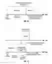 Fig. 08 - Print Engine Page Streamlining