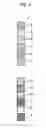 Fig. 05 - Printing apparatus to determine correction on suspended image data
