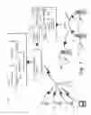 Fig. 02 - Printers and printer systems having cellular input/output