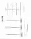 Fig. 20 - Variable power optical system for stereomicroscope