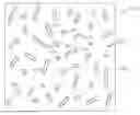 Fig. 01 - FILM STRUCTURE HAVING INORGANIC SURFACE STRUCTURES AND RELATED FABRICATION METHODS