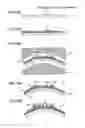 Fig. 11 - Mount board and electronic device