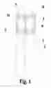 Fig. 02 - Conveniently Demountable Vertical Lamp