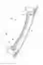 Fig. 03 - Vehicular headlamp having a columnar light guide