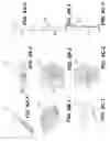 Fig. 04 - LAMINATED DOUBLE-SIDED LIGHT GUIDE PLATE
