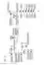 Fig. 11 - Nonvolatile semiconductor memory device
