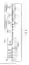 Fig. 06 - Semiconductor memory device capable of shortening erase time