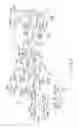 Fig. 08 - Semiconductor memory device capable of shortening erase time