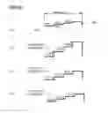 Fig. 16 - Complex objective lens including saw-tooth diffractive element for using on blue, red and infrared lights