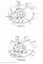 Fig. 06 - Systems and methods for testing unformatted optical recording media