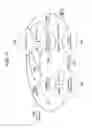 Fig. 18 - Apparatus, module and method used for wireless communication