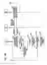 Fig. 16 - Wireless communication system, wireless communication device and wireless communication method, and computer program