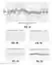 Fig. 02 - Inducing response signatures in a communication network