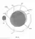 Fig. 32 - Orthovoltage radiotherapy