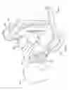Fig. 33 - Orthovoltage radiotherapy