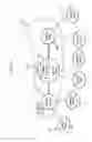 Fig. 11 - SHARED RANDOM NUMBERS MANAGEMENT METHOD AND MANAGEMENT SYSTEM IN SECRET COMMUNICATION NETWORK