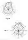 Fig. 07 - Acoustic radiation pattern adjusting