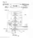 Fig. 05 - Inserting watermarks into portions of digital signals