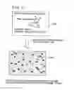 Fig. 09 - Inserting watermarks into portions of digital signals