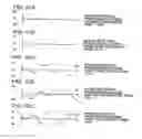 Fig. 26 - Inserting watermarks into portions of digital signals