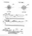 Fig. 28 - Inserting watermarks into portions of digital signals