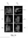 Fig. 09 - Method and system for multiple object detection by sequential Monte Carlo and hierarchical detection network