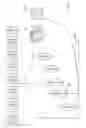 Fig. 03 - Analysis of radiographic images