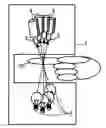 Fig. 01 - Personal identification device and method