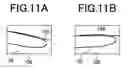 Fig. 12 - Personal identification device and method