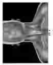 Fig. 08 - Medical imaging system and related methods