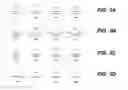 Fig. 04 - Adaptive light method and system for low power architectures