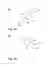 Fig. 05 - Material recognition from an image
