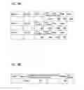 Fig. 09 - Video image processing apparatus and video image processing method