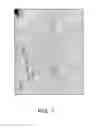 Fig. 08 - Image analysis method, image analysis program and pixel evaluation system having the sames