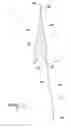 Fig. 03 - SECURITY TRANSPARENT BAG
