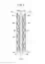Fig. 06 - Dynamic foil gas bearing