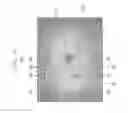 Fig. 08 - Waveguide coupler for optical transverse-mode multiplexing