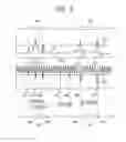 Fig. 08 - Video/Audio Player