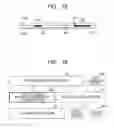 Fig. 14 - Video/Audio Player