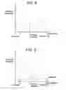 Fig. 06 - Focus adjusting apparatus