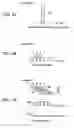 Fig. 03 - Passive optical communication network system extendable with codec modules
