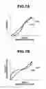 Fig. 08 - Image forming apparatus capable of correcting image information