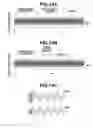 Fig. 15 - Image forming apparatus capable of correcting image information